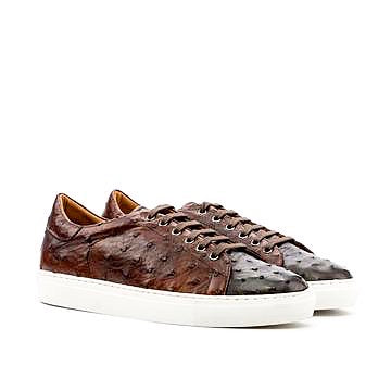 "Ostrich Court" Sneaker