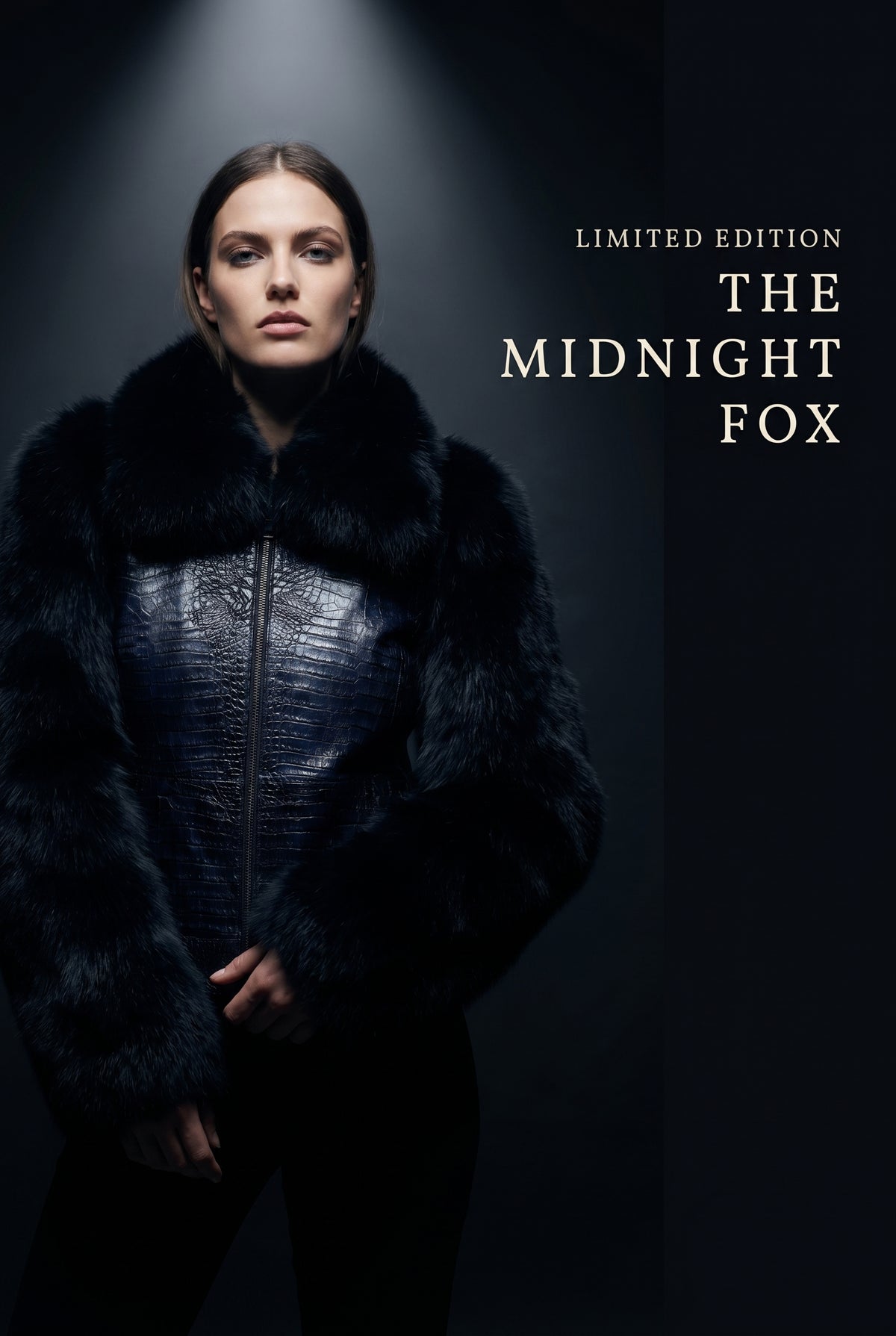 The Midnight Fox